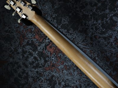 Paul Reed Smith(PRS) NF53 Black Doghair