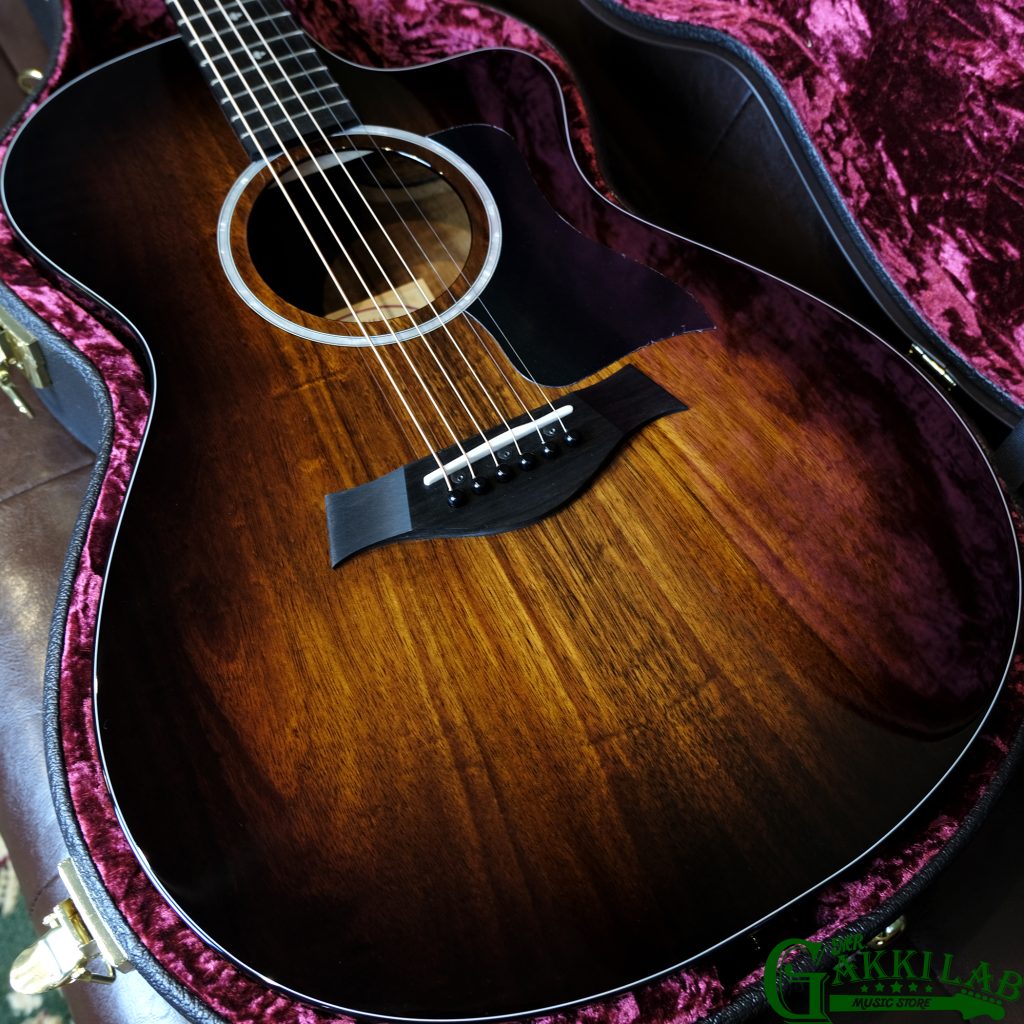 Taylor 222ce-K DLX | 札幌の楽器屋さん｜MR.GAKKI LAB｜中古買取