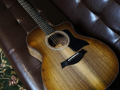 Taylor 124ce Special Edition / Walnut Grand Auditorium