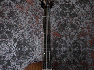 Taylor 124ce Special Edition / Walnut Grand Auditorium