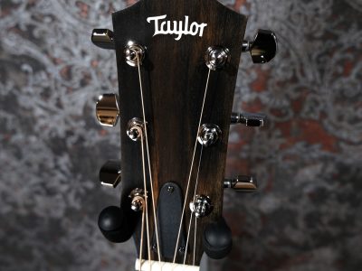 Taylor 124ce Special Edition / Walnut Grand Auditorium