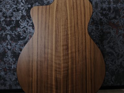 Taylor 124ce Special Edition / Walnut Grand Auditorium