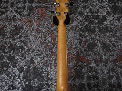 Taylor 124ce Special Edition / Walnut Grand Auditorium