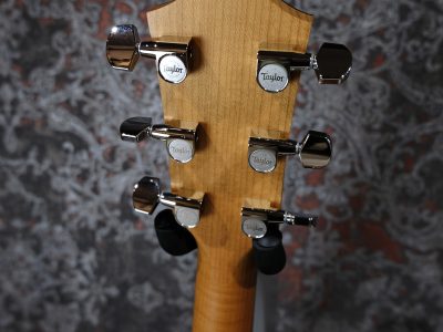 Taylor 124ce Special Edition / Walnut Grand Auditorium