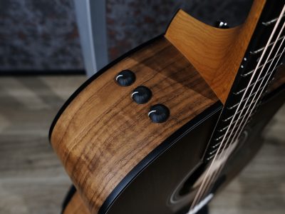 Taylor 124ce Special Edition / Walnut Grand Auditorium