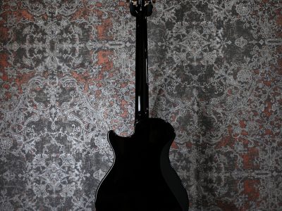 Paul Reed Smith SE STARLA Black Tortoise Guard /STOPTAIL
