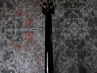 Paul Reed Smith SE STARLA Black Tortoise Guard /STOPTAIL