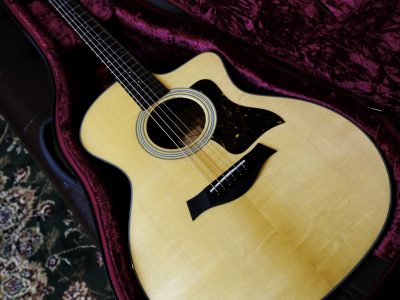 Taylor 214ce Plus | 札幌の楽器屋さん｜MR.GAKKI LAB｜中古買取