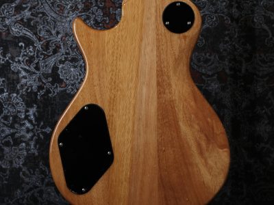 Paul Reed Smith(PRS) SE Zach Myers Myers Blue