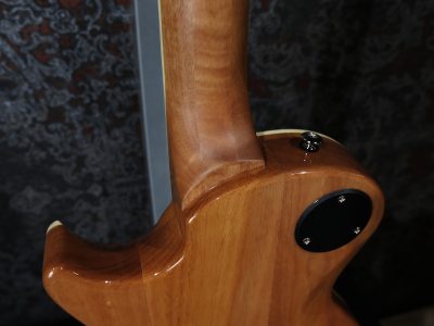 Paul Reed Smith(PRS) SE Zach Myers Myers Blue