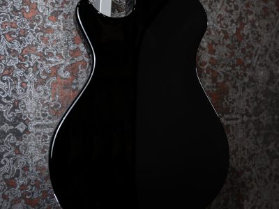 Paul Reed Smith SE STARLA Black Tortoise Guard /STOPTAIL