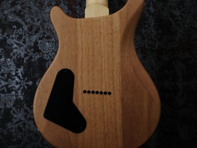 PRS SE Mark Holcomb SVN Beveled Walnut Top Natural Satin