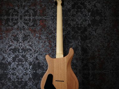 PRS SE Mark Holcomb SVN Beveled Walnut Top Natural Satin