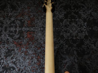 PRS SE Mark Holcomb SVN Beveled Walnut Top Natural Satin