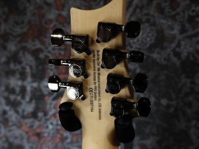 PRS SE Mark Holcomb SVN Beveled Walnut Top Natural Satin