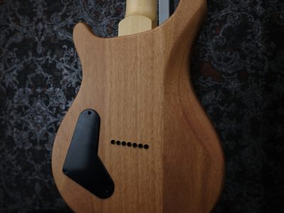 PRS SE Mark Holcomb SVN Beveled Walnut Top Natural Satin