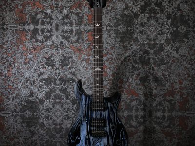 Paul Reed Smith(PRS) SE Swamp Ash CE 24 LTD / Sandblasted Blue