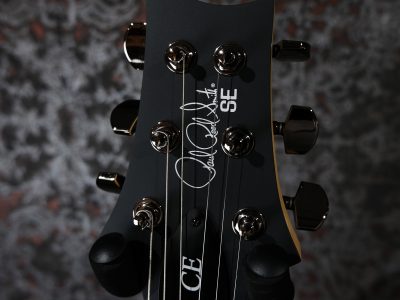 Paul Reed Smith(PRS) SE Swamp Ash CE 24 LTD / Sandblasted Blue