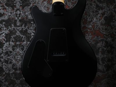 Paul Reed Smith(PRS) SE Swamp Ash CE 24 LTD / Sandblasted Blue