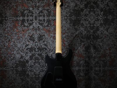 Paul Reed Smith(PRS) SE Swamp Ash CE 24 LTD / Sandblasted Blue