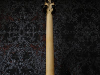 Paul Reed Smith(PRS) SE Swamp Ash CE 24 LTD / Sandblasted Blue