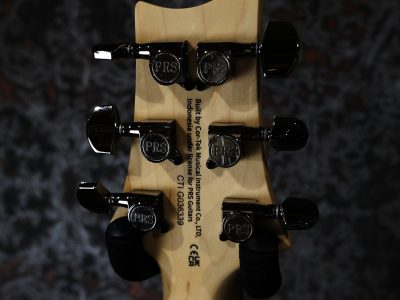 Paul Reed Smith(PRS) SE Swamp Ash CE 24 LTD / Sandblasted Blue