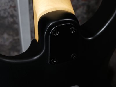 Paul Reed Smith(PRS) SE Swamp Ash CE 24 LTD / Sandblasted Blue