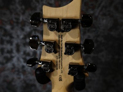 Paul Reed Smith(PRS) SE Swamp Ash CE 24 LTD Sandblasted Red