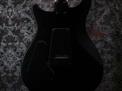 Paul Reed Smith(PRS) SE Swamp Ash CE 24 LTD Sandblasted Red