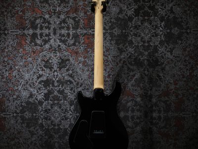 Paul Reed Smith(PRS) SE Swamp Ash CE 24 LTD Sandblasted Red