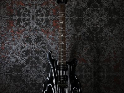 Paul Reed Smith(PRS) SE Swamp Ash CE 24 LTD / Sandblasted White