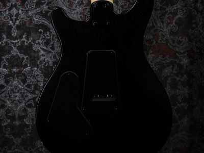 Paul Reed Smith(PRS) SE Swamp Ash CE 24 LTD / Sandblasted White