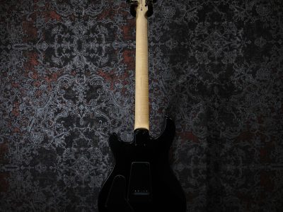 Paul Reed Smith(PRS) SE Swamp Ash CE 24 LTD / Sandblasted White