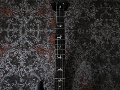 Paul Reed Smith(PRS) SE Swamp Ash CE 24 LTD / Sandblasted Purple