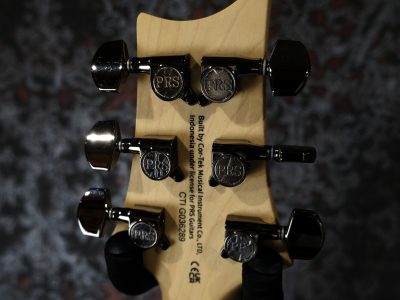 Paul Reed Smith(PRS) SE Swamp Ash CE 24 LTD / Sandblasted Purple