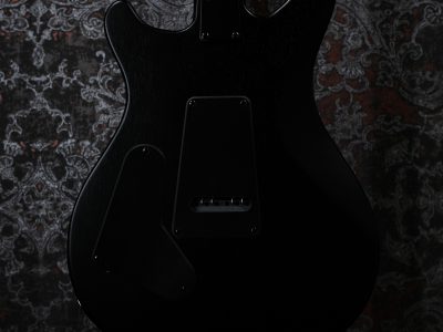 Paul Reed Smith(PRS) SE Swamp Ash CE 24 LTD / Sandblasted Purple