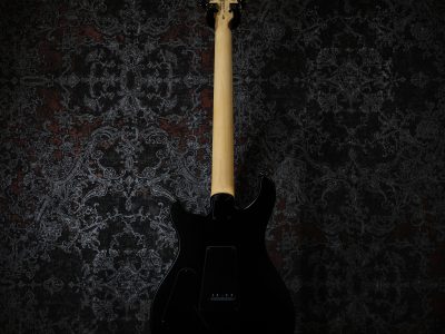 Paul Reed Smith(PRS) SE Swamp Ash CE 24 LTD / Sandblasted Purple