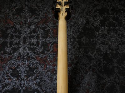 Paul Reed Smith(PRS) SE Swamp Ash CE 24 LTD / Sandblasted Purple