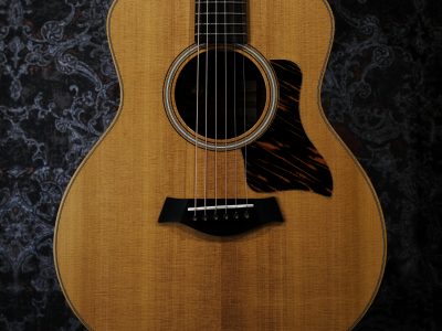 Taylor GS Mini-e Rosewood LTD -50th Anniversary-