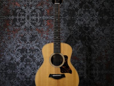 Taylor GS Mini-e Rosewood LTD -50th Anniversary-