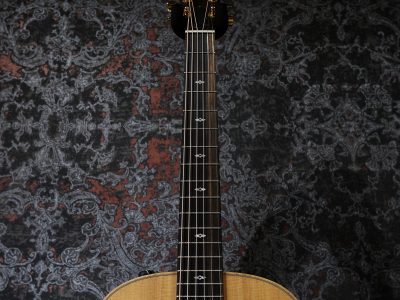 Taylor GS Mini-e Rosewood LTD -50th Anniversary-