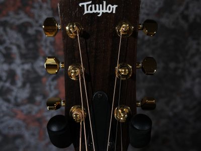 Taylor GS Mini-e Rosewood LTD -50th Anniversary-