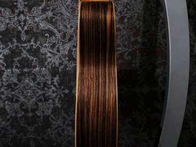 Taylor GS Mini-e Rosewood LTD -50th Anniversary-