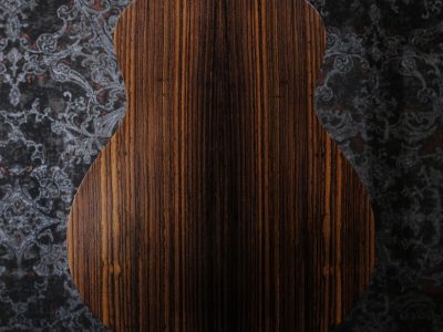 Taylor GS Mini-e Rosewood LTD -50th Anniversary-