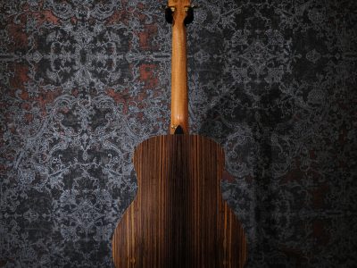 Taylor GS Mini-e Rosewood LTD -50th Anniversary-