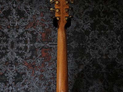 Taylor GS Mini-e Rosewood LTD -50th Anniversary-