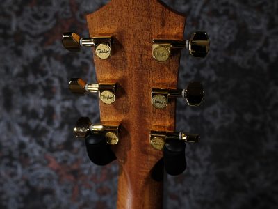 Taylor GS Mini-e Rosewood LTD -50th Anniversary-