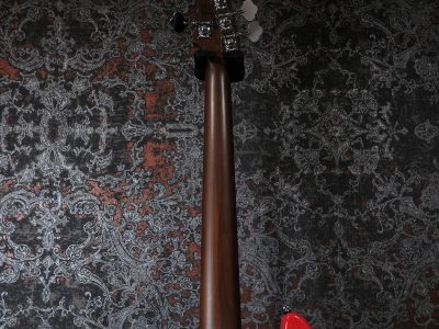 Sire P5 Alder-5 / dakota red