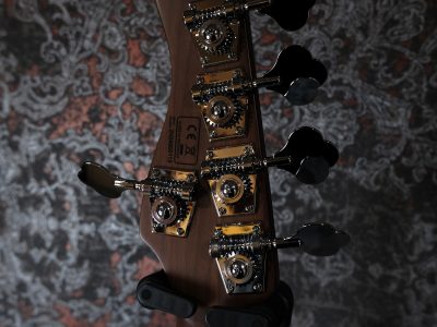 Sire P5 Alder-5 / dakota red