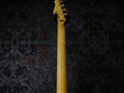 G&L Tribute Series ASAT Special RW / Tobacco Sunburst